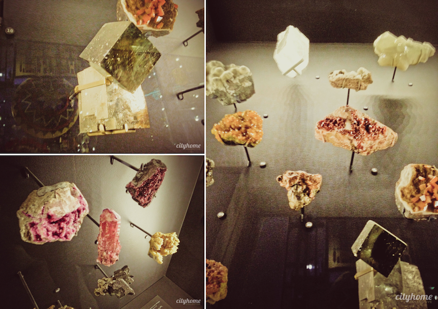 Natural History Museum of Utah | cityhomeCOLLECTIVE