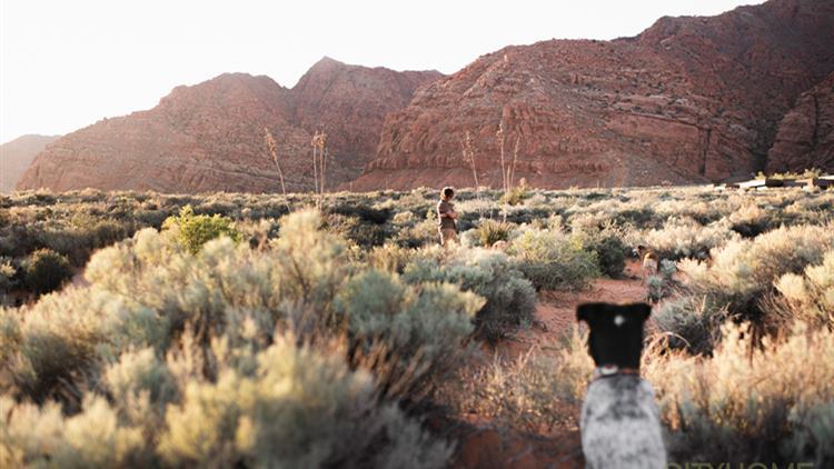 985 W Donoma Court, Ivins, Utah 84738 Image