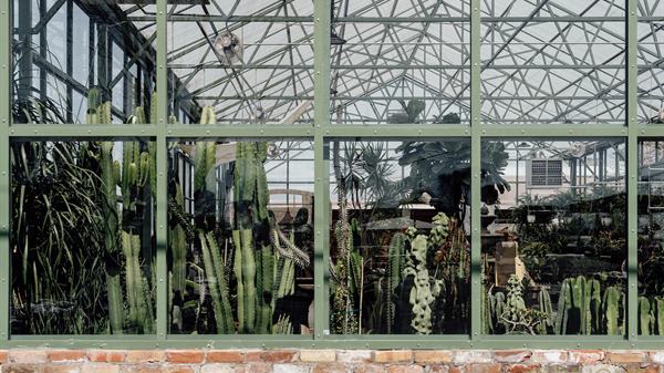 A Green Revival in Midvale: Cactus & Tropicals Breathes New Life into a Local Landmark