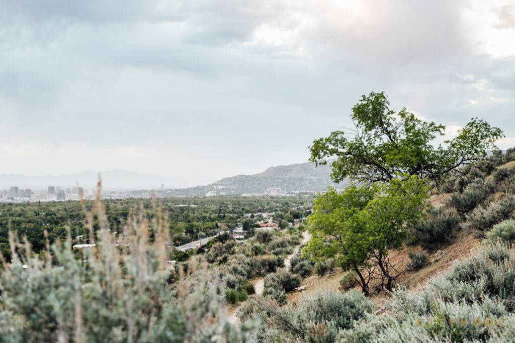 1935 S Scenic Dr, Salt Lake City, 84108