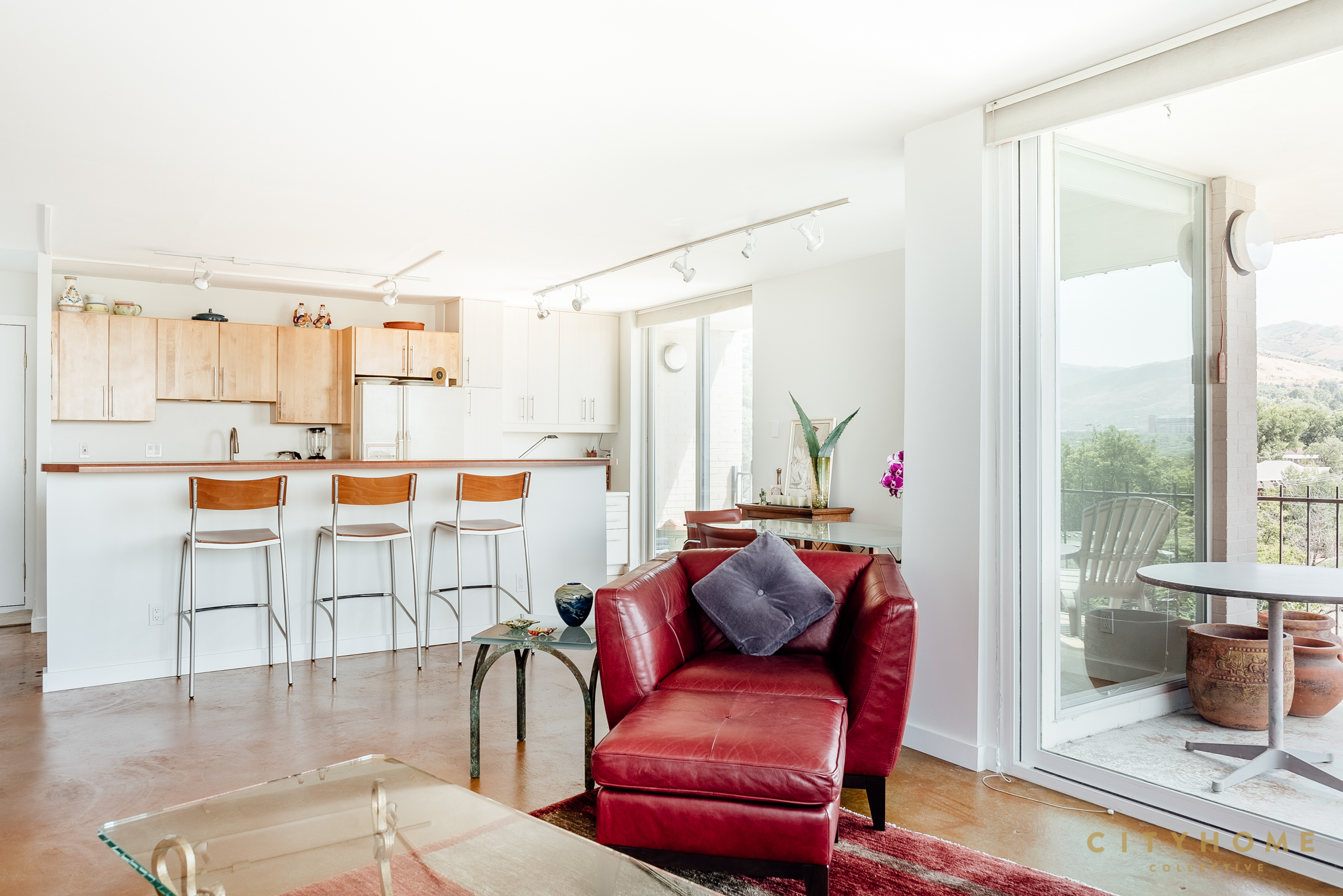 266 E 4th Ave #508, Salt Lake City, 84103