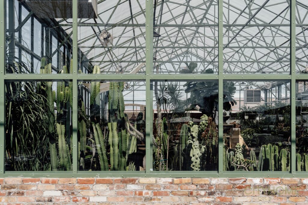 A Green Revival in Midvale: Cactus & Tropicals Breathes New Life into a Local Landmark