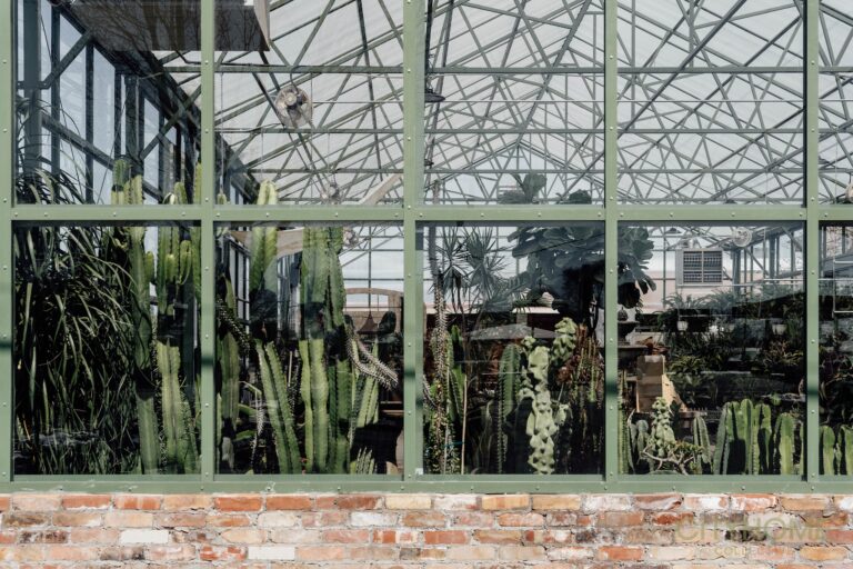 A Green Revival in Midvale: Cactus & Tropicals Breathes New Life into a Local Landmark