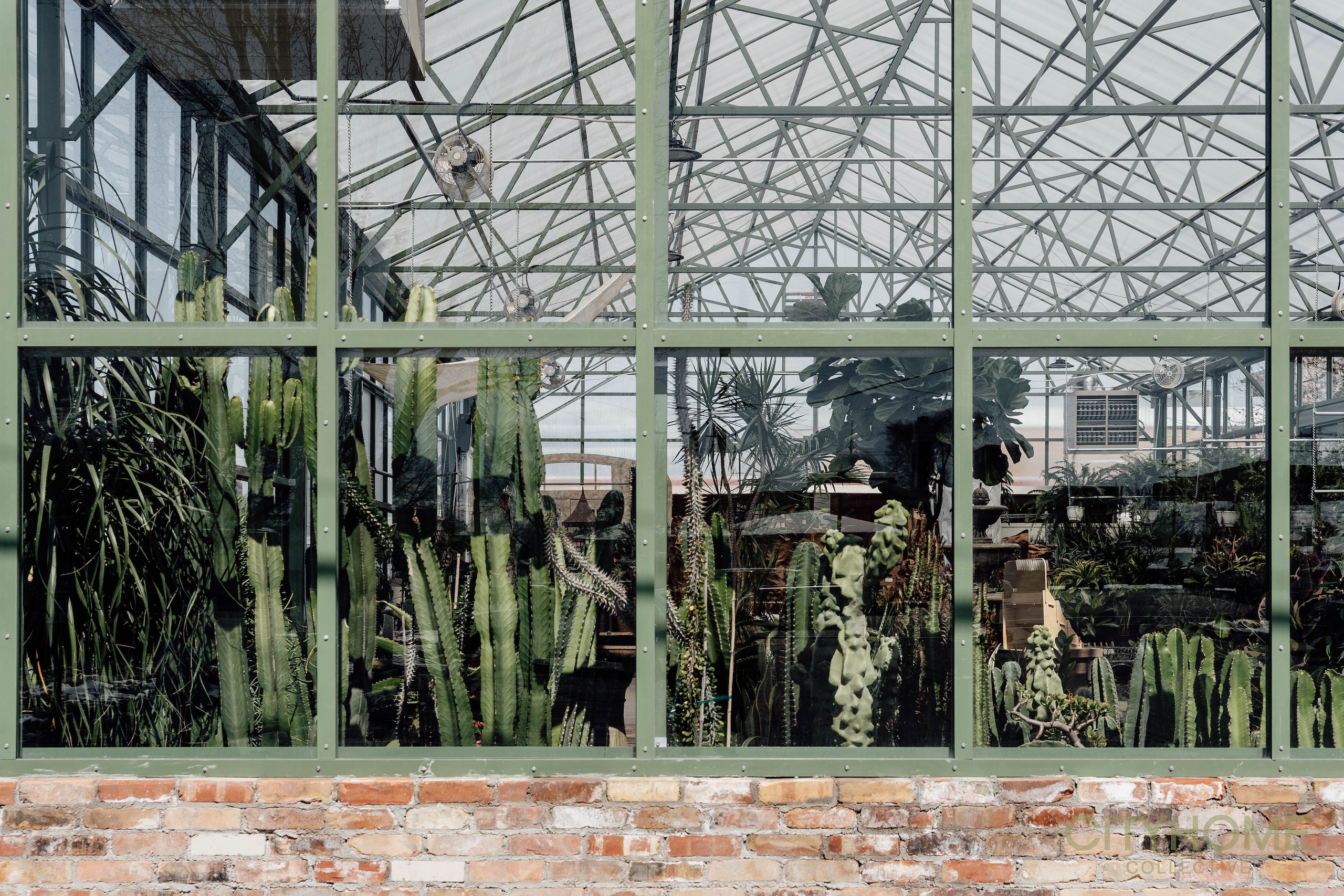 A Green Revival in Midvale: Cactus & Tropicals Breathes New Life into a Local Landmark