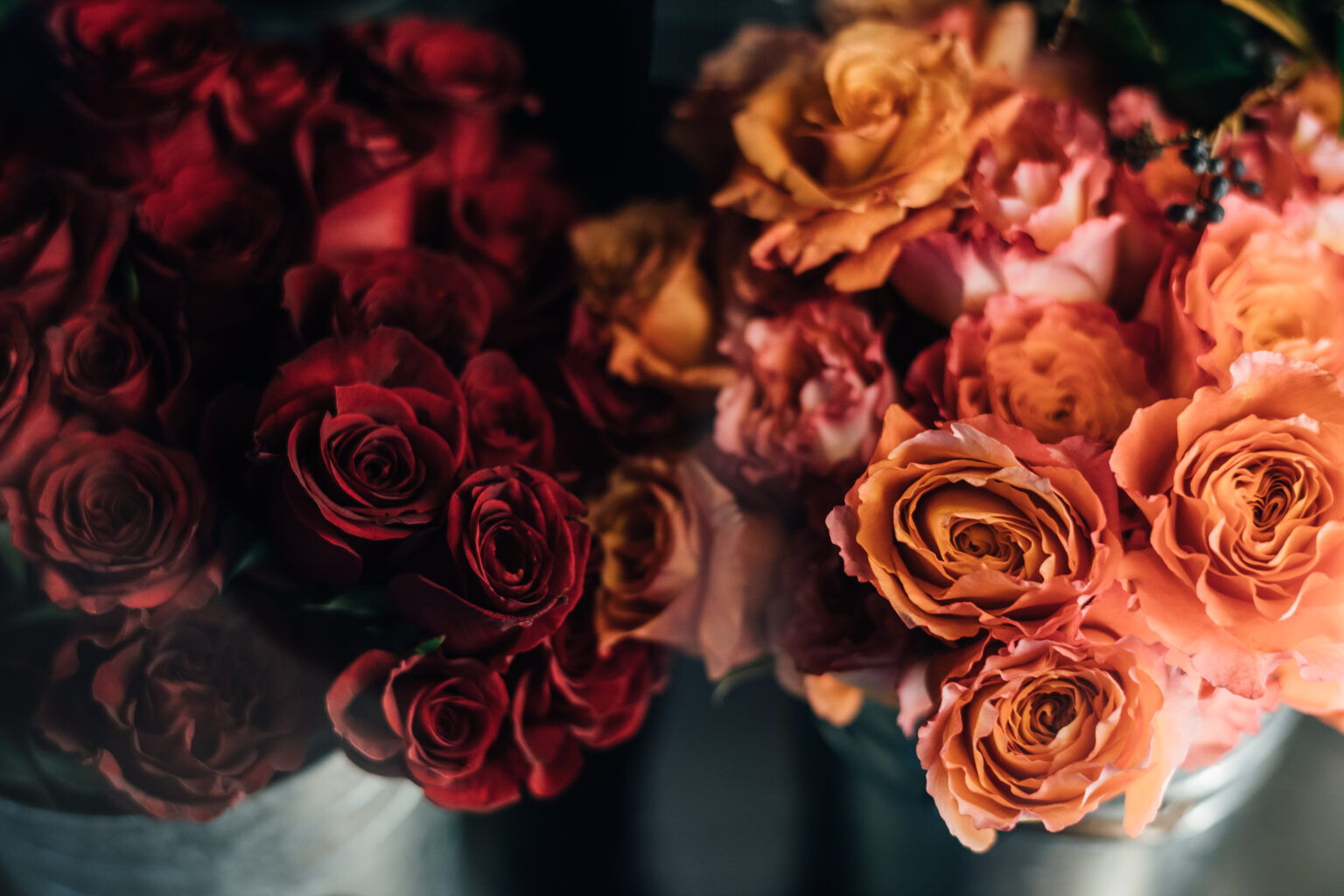 Valentine’s Day Gift Guide