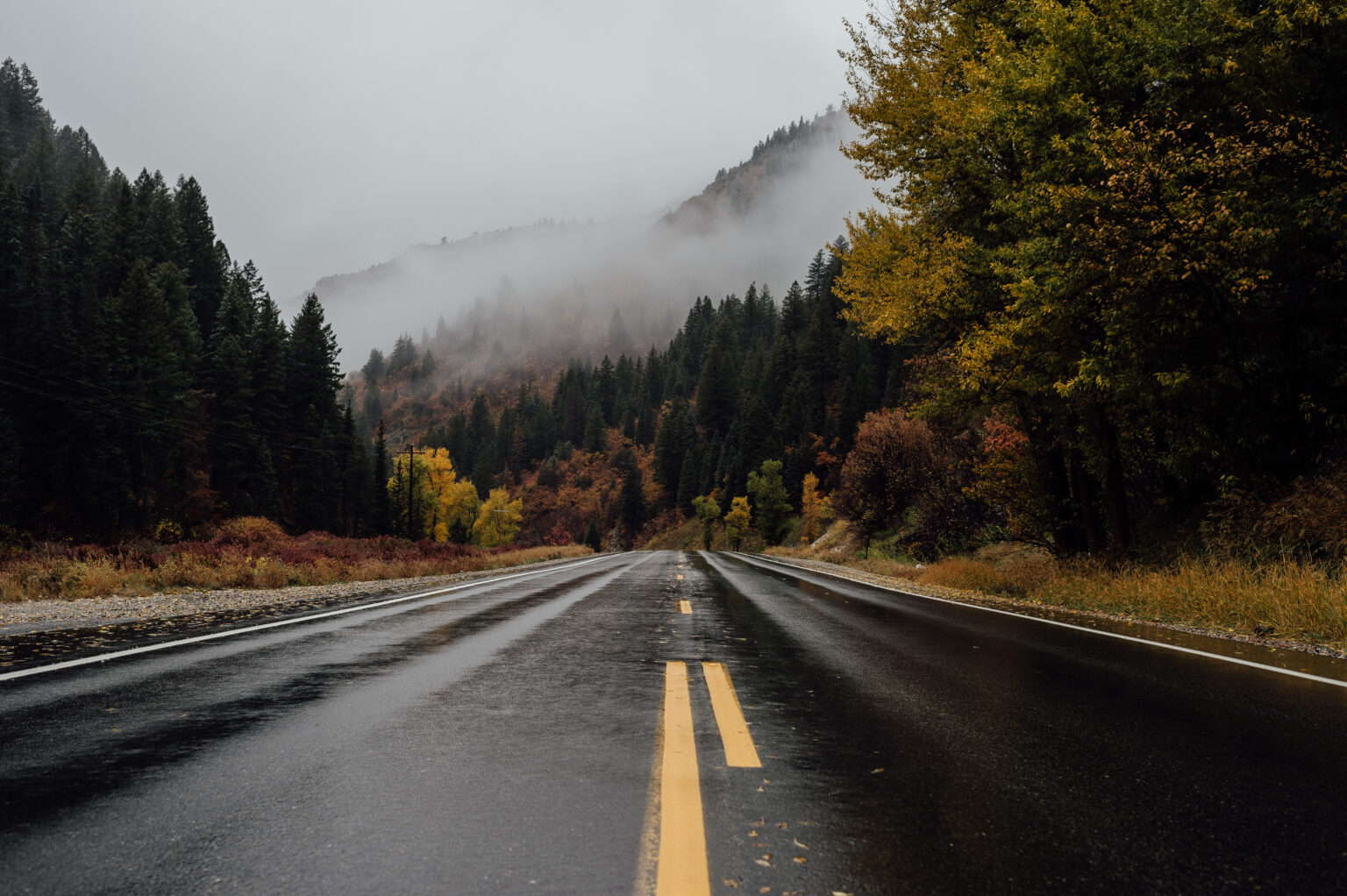 Prettiest Fall Time Hikes