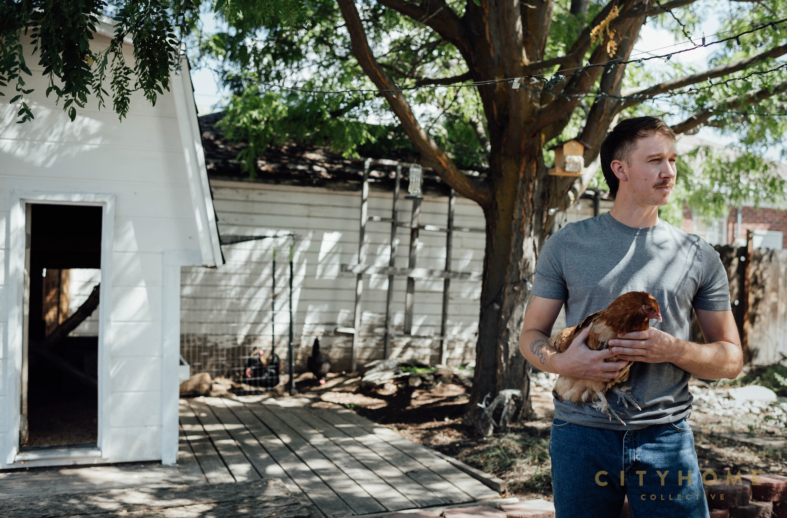 House Calls | Patrick Ramsay