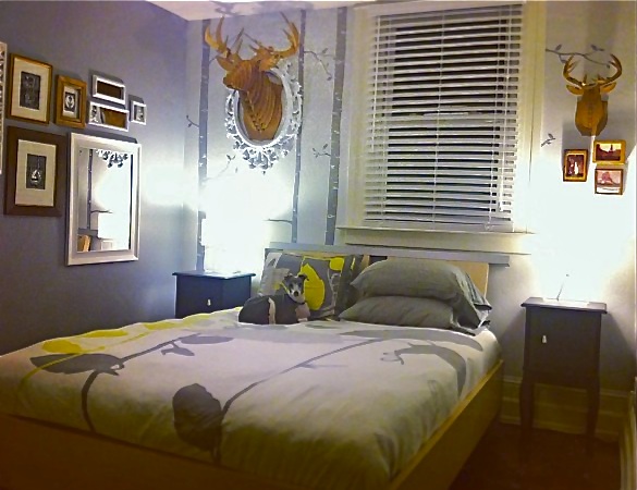 417 E 300 S, Salt Lake City, UT, 84111