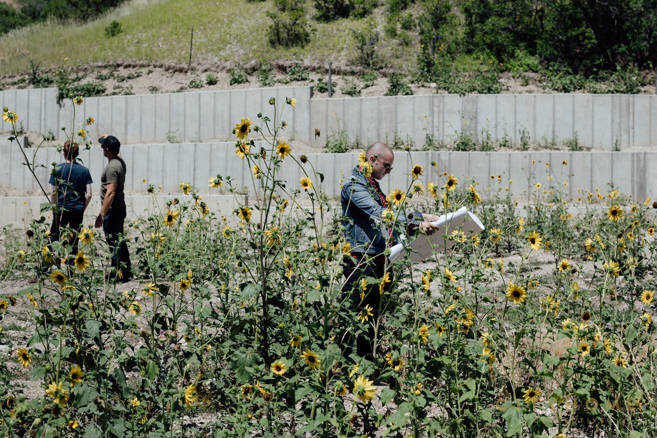 Life on Your Land | Landing in Emigration Canyon