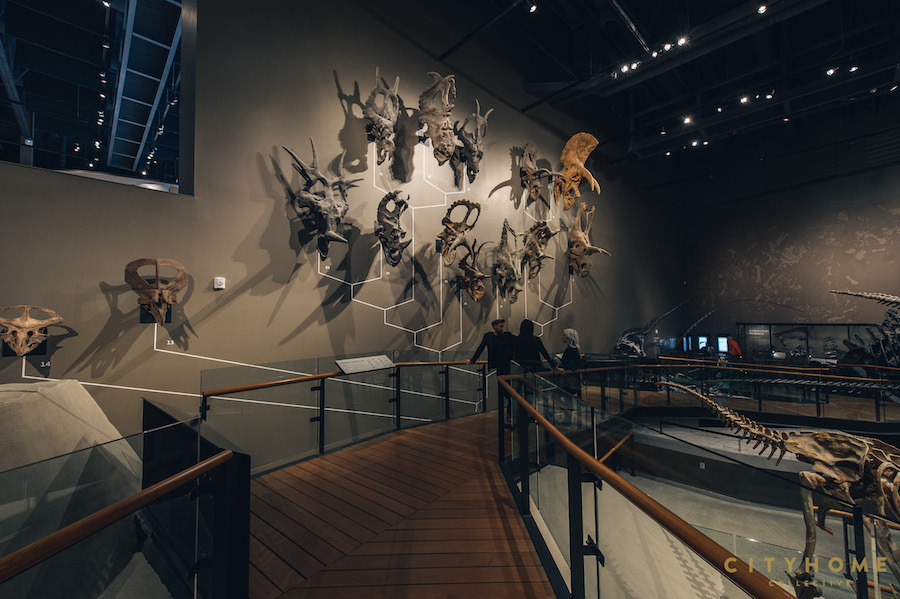 Natural-History_WM-38
