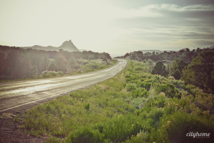 Imbue’s Buddhist Retreat | Update