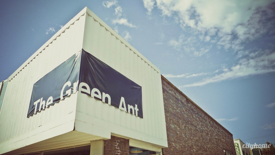 The Green Ant | Mid-Century Delights