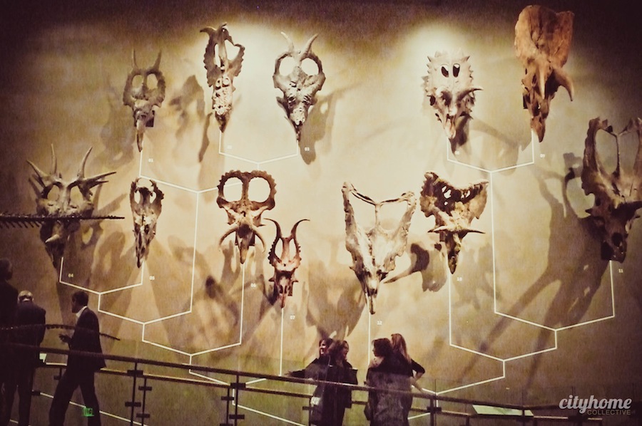 Natural History Museum of Utah