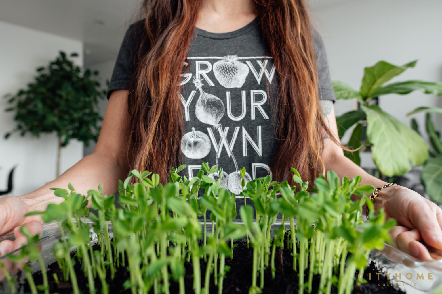 Gardening Tips | If You Say Sow