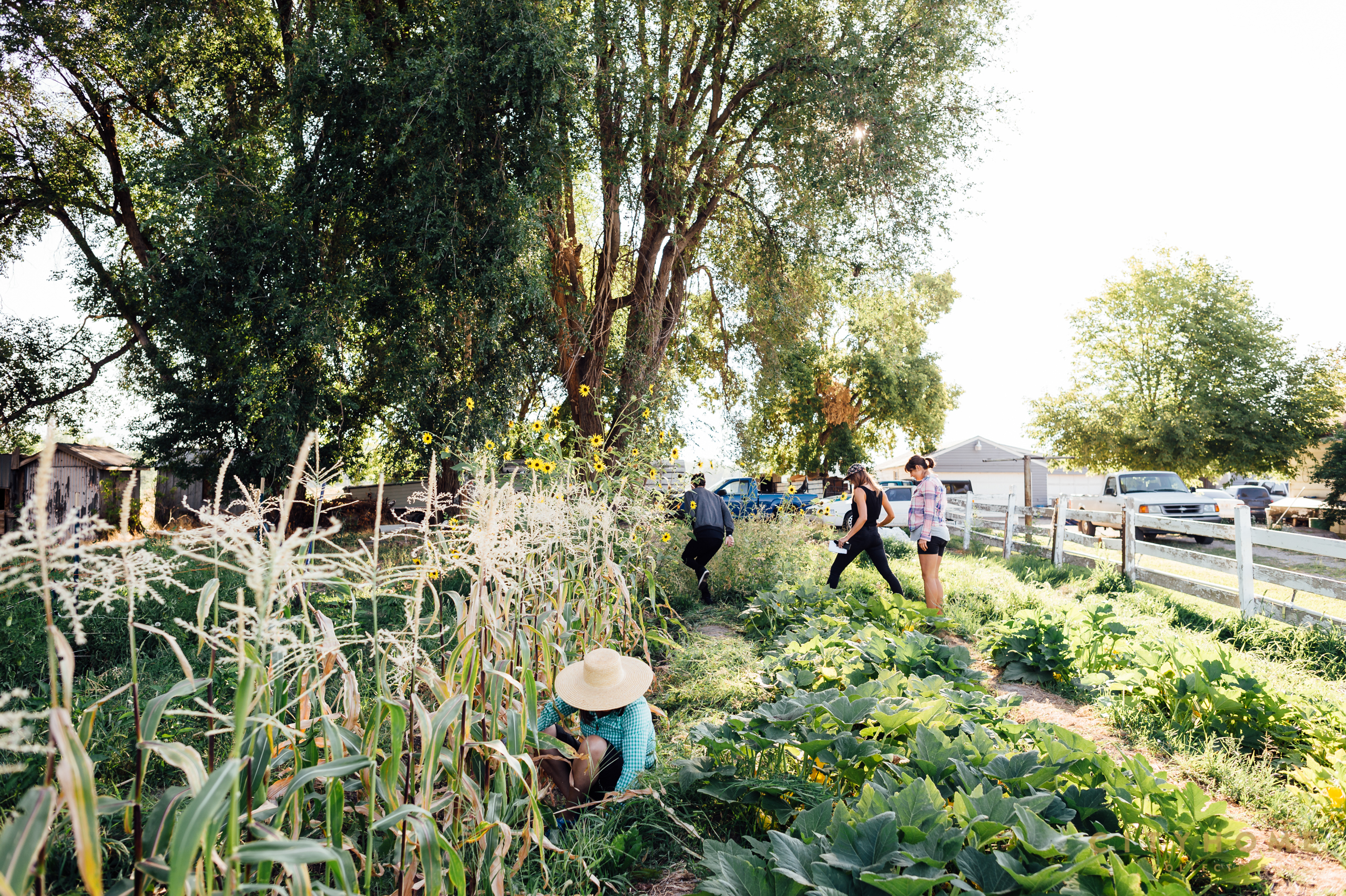 Green Urban Lunch Box | Grow For It