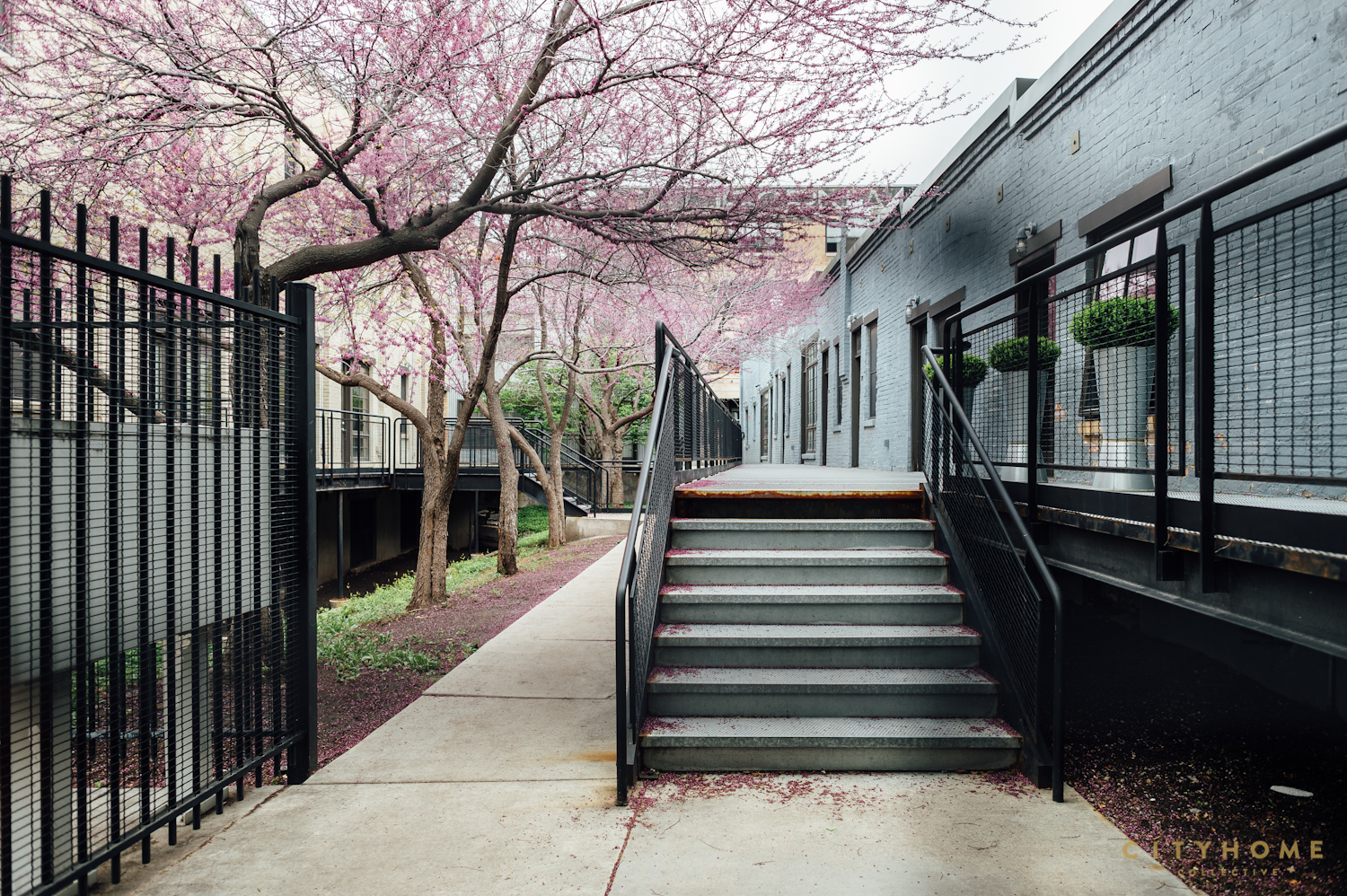 Pierpont Lofts