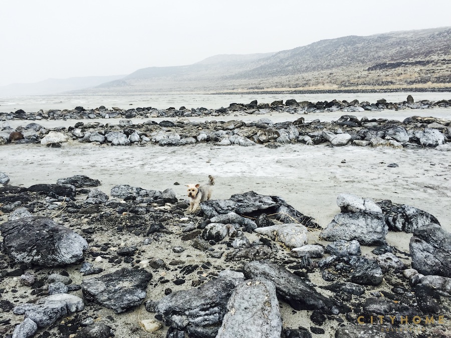 spiral-jetty-weekenders-15
