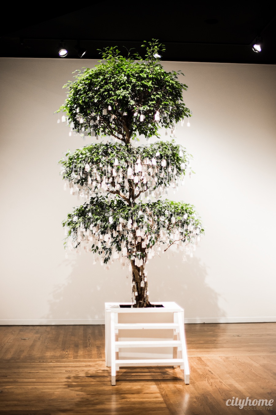 umoca-silent-auction-2014-8