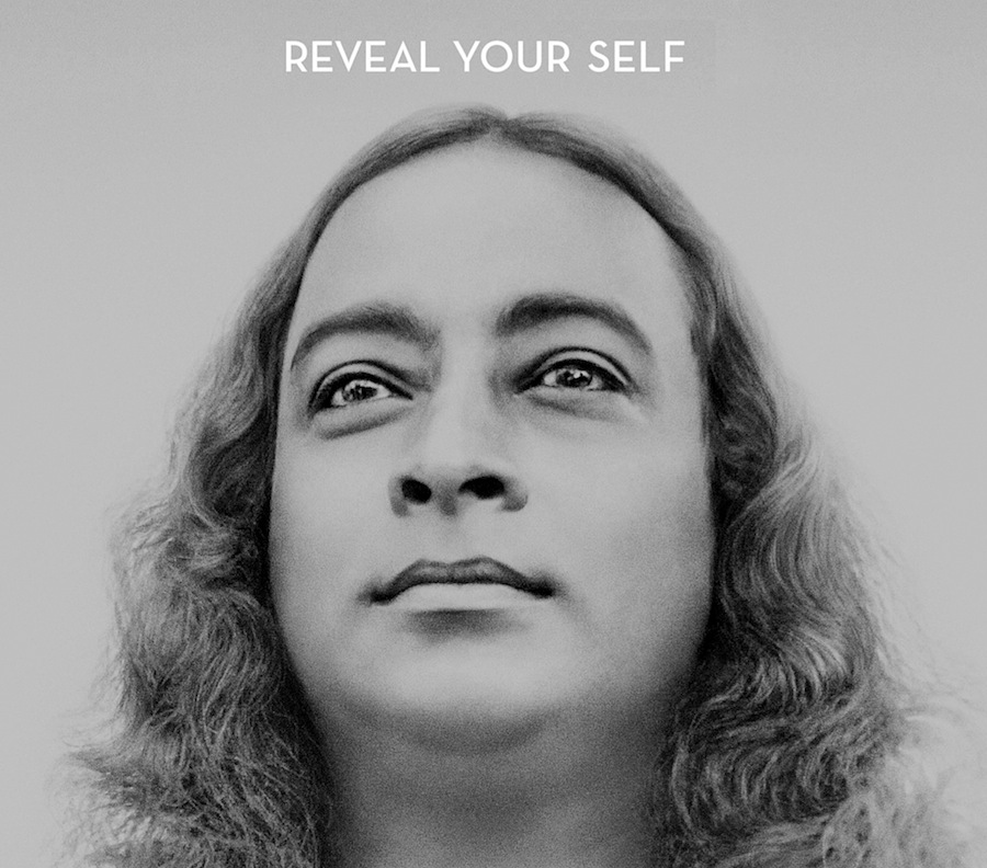 Yoga-tta See This | AWAKE